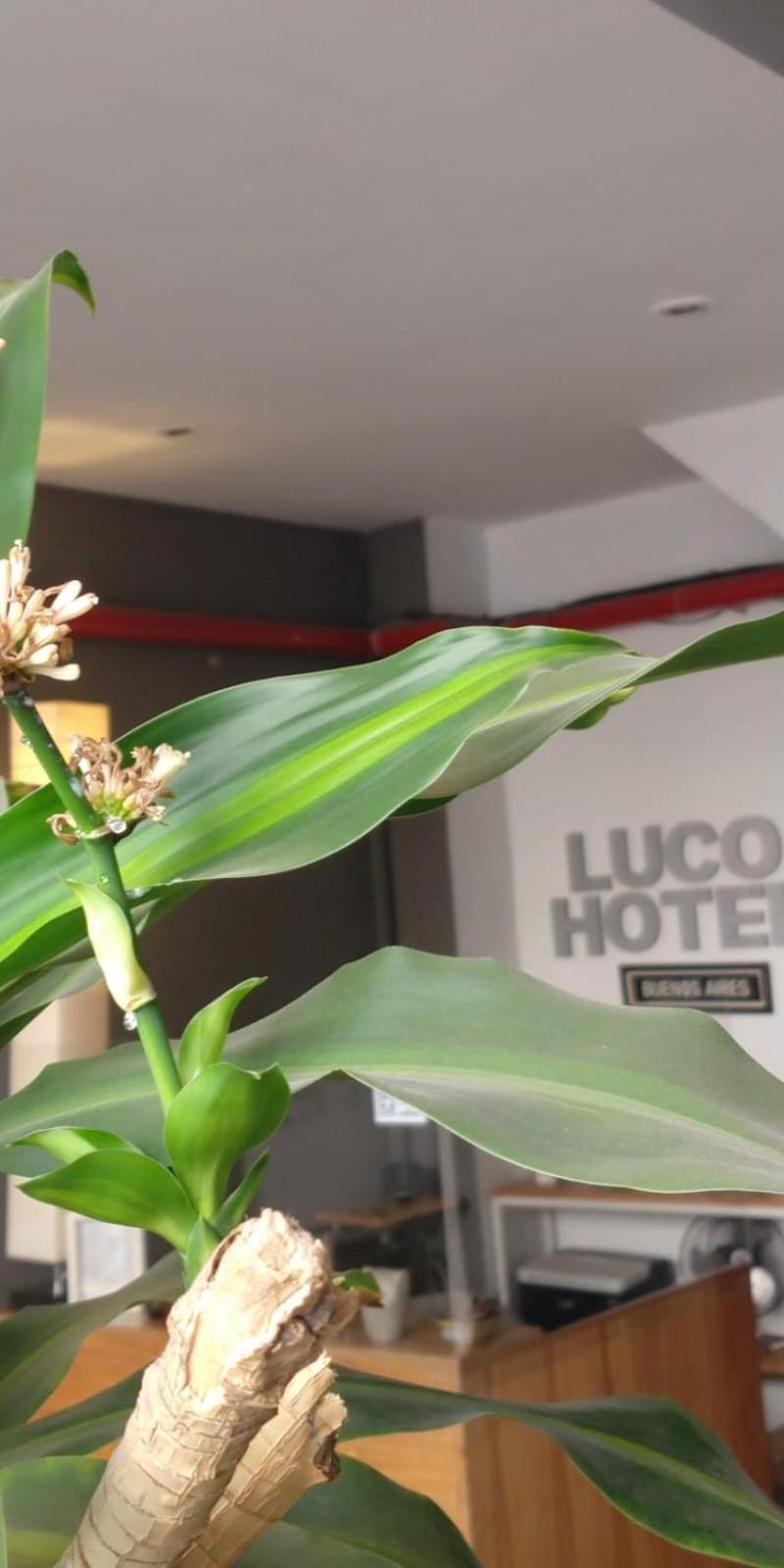 Luco Hotel Buenos Aires Luaran gambar
